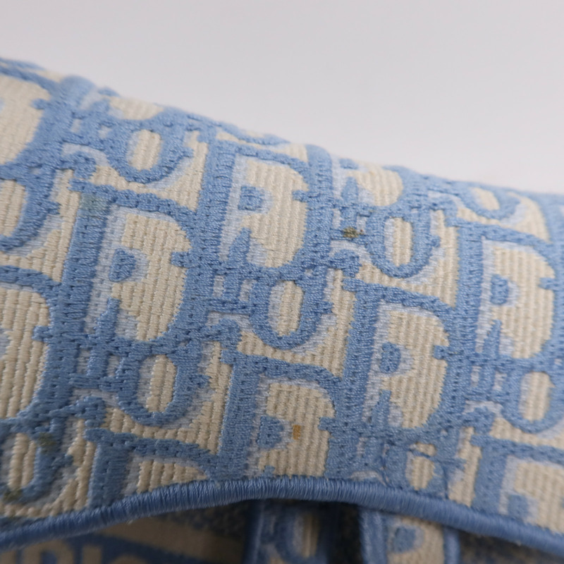 Dior 帆布Saddle金扣手挽袋-10