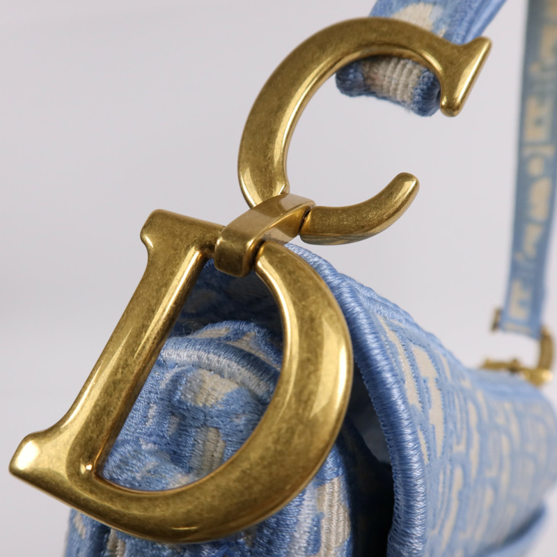 Dior 帆布Saddle金扣手挽袋-12