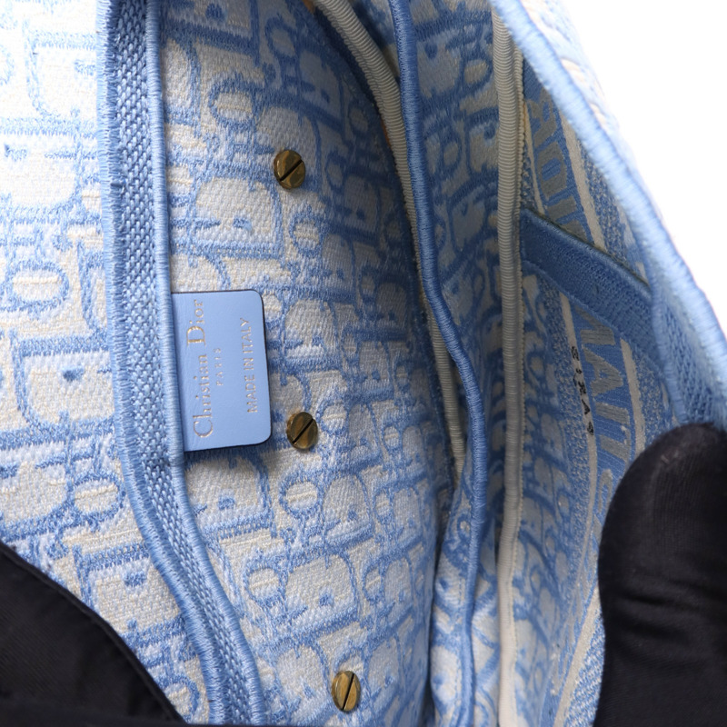 Dior 帆布Saddle金扣手挽袋-13
