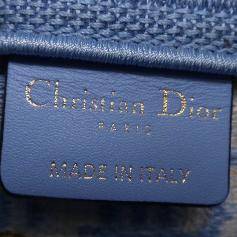 Dior 帆布Saddle金扣手挽袋-14