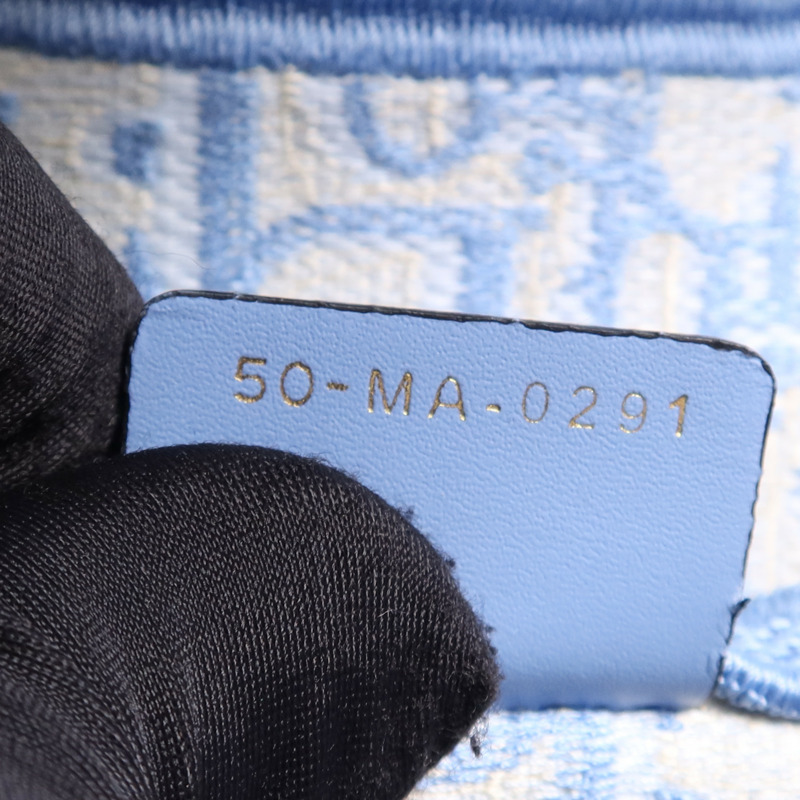 Dior 帆布Saddle金扣手挽袋-15