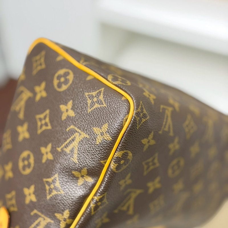 🏷LV．Speedy25 波士頓-4