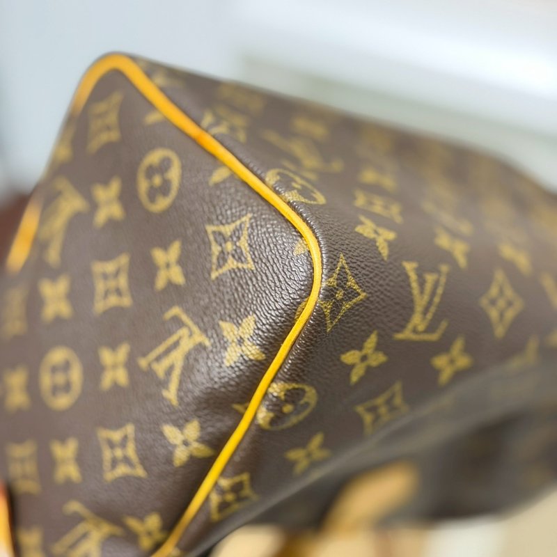 🏷LV．Speedy25 波士頓-6