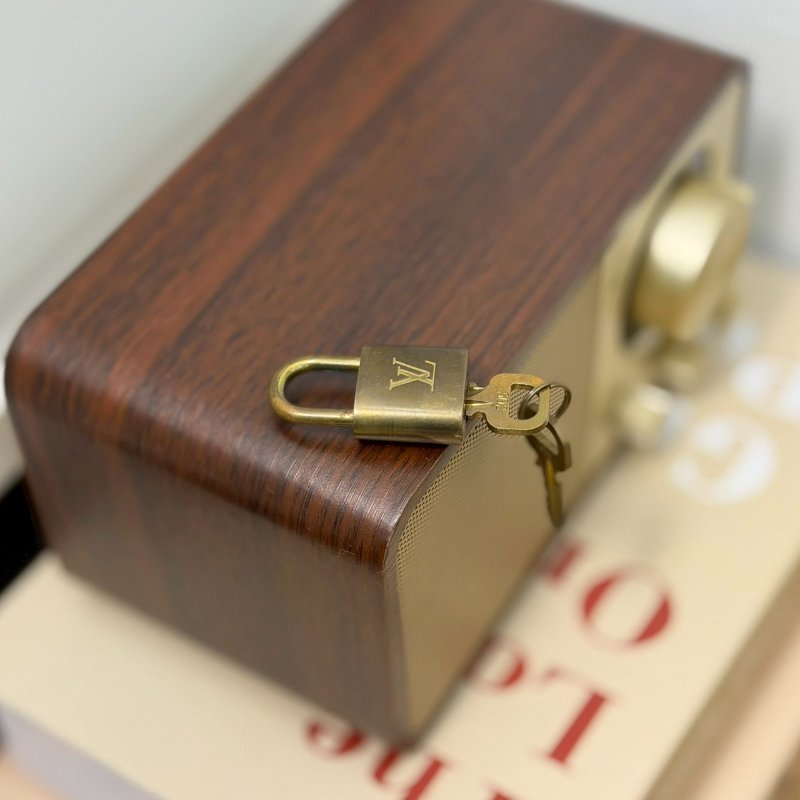 🏷LV．Speedy25 波士頓-24