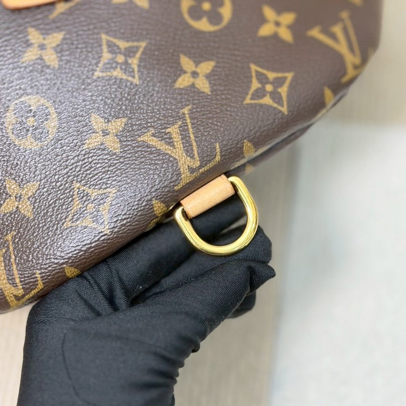 (大全配、停產絕版款)🏷LV．Bumbag 老花腰包 M43644 芯片款-15