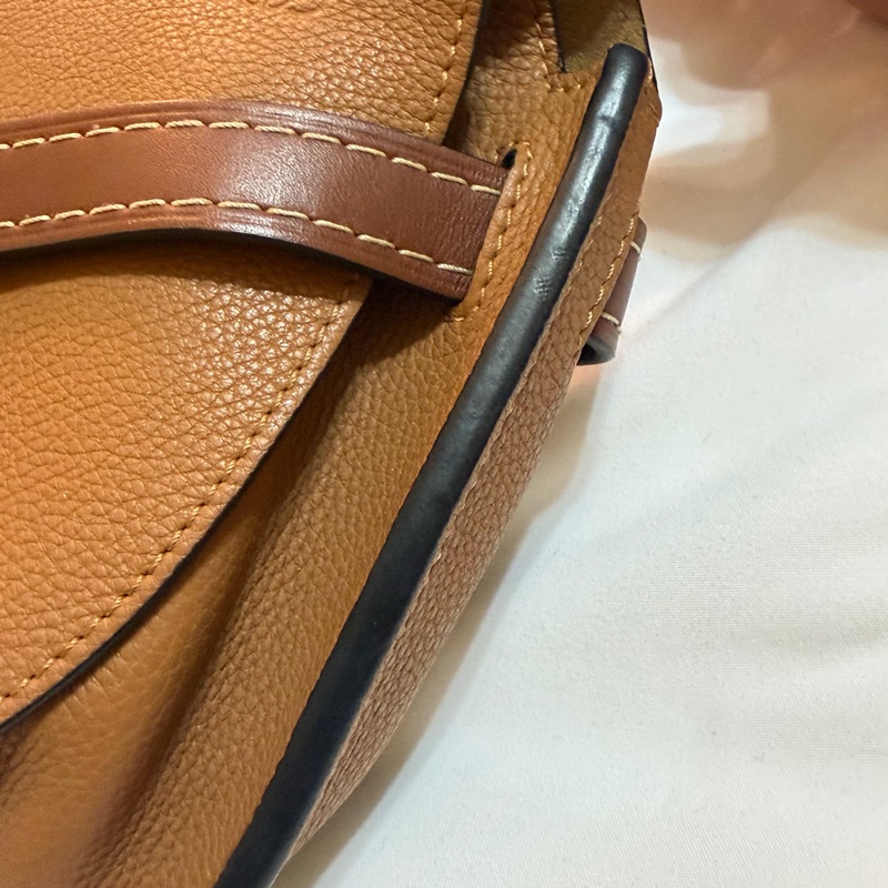 Loewe 羅威 Gate 中 荔枝皮革-9