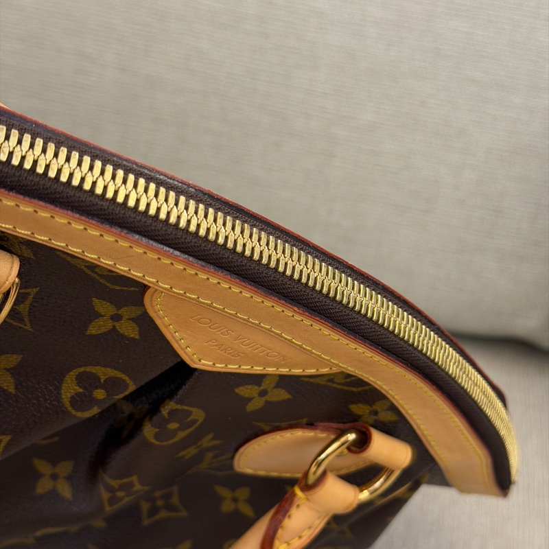 LV 老花手提包水餃包-15