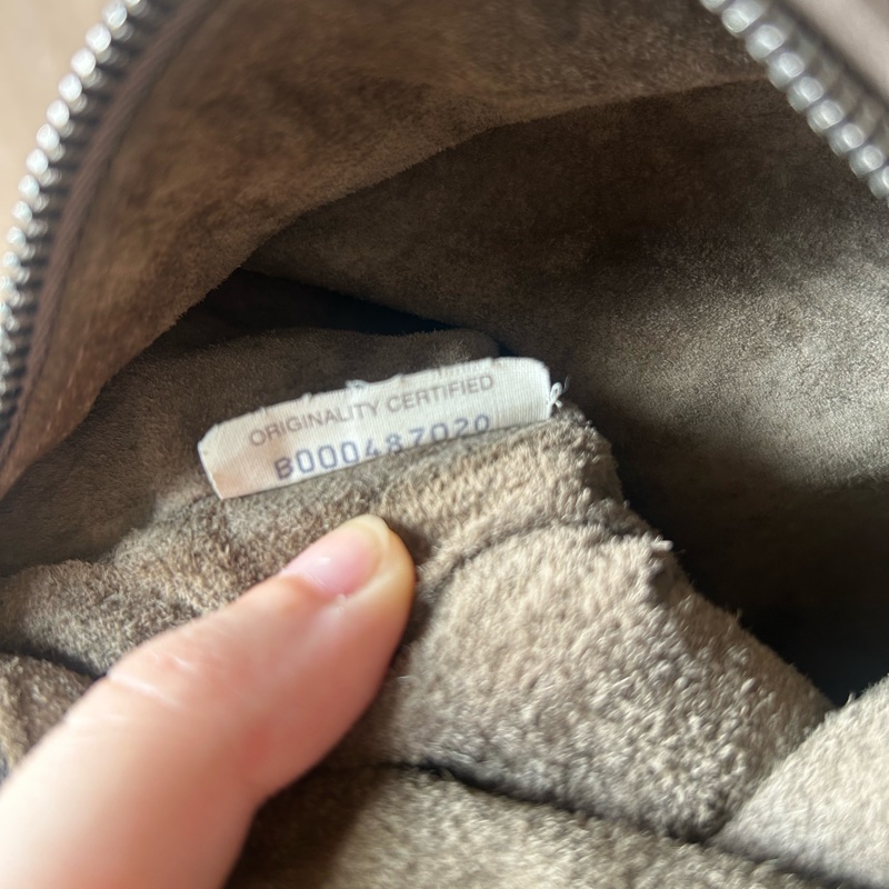 BV 編織便當包 遛狗包 手拿包 飯盒包-4