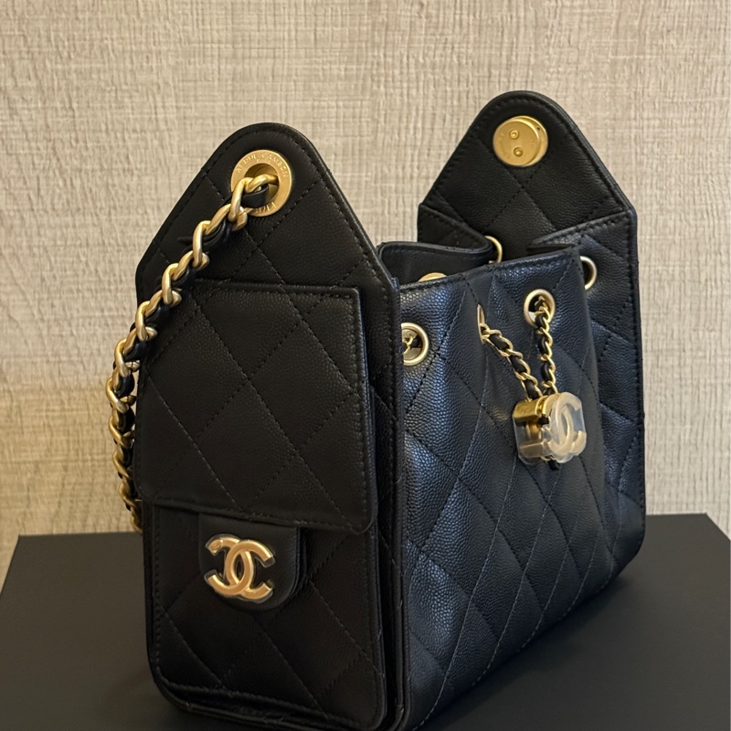 Chanel 26c 25bagmini-1