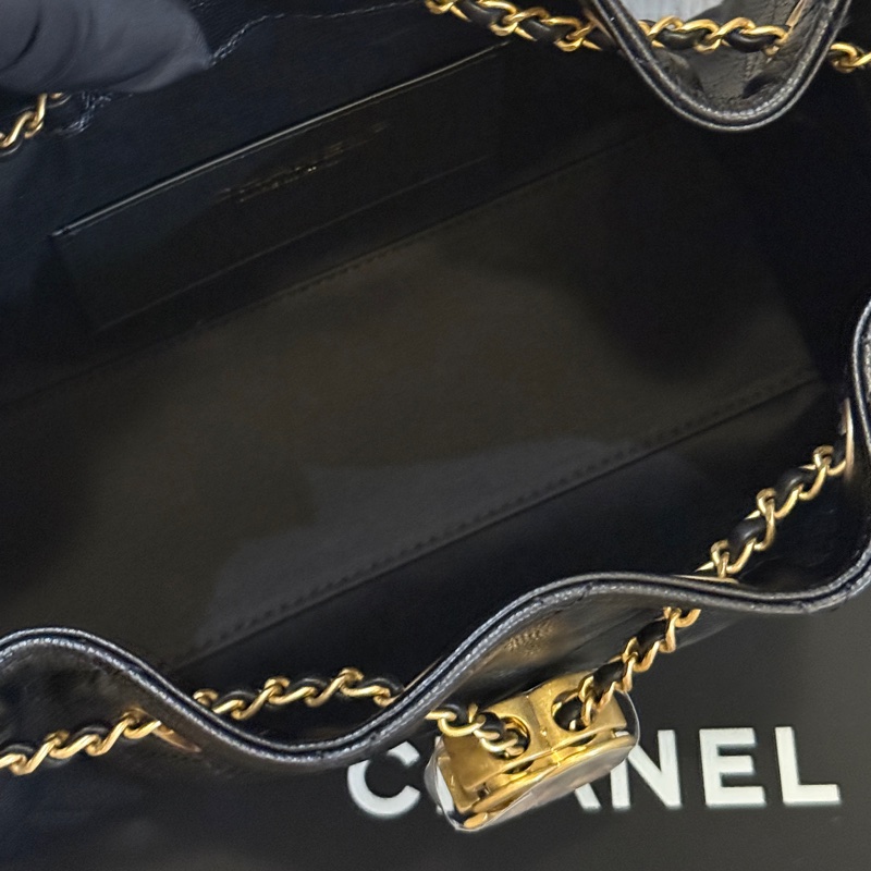 Chanel 26c 25bagmini-5