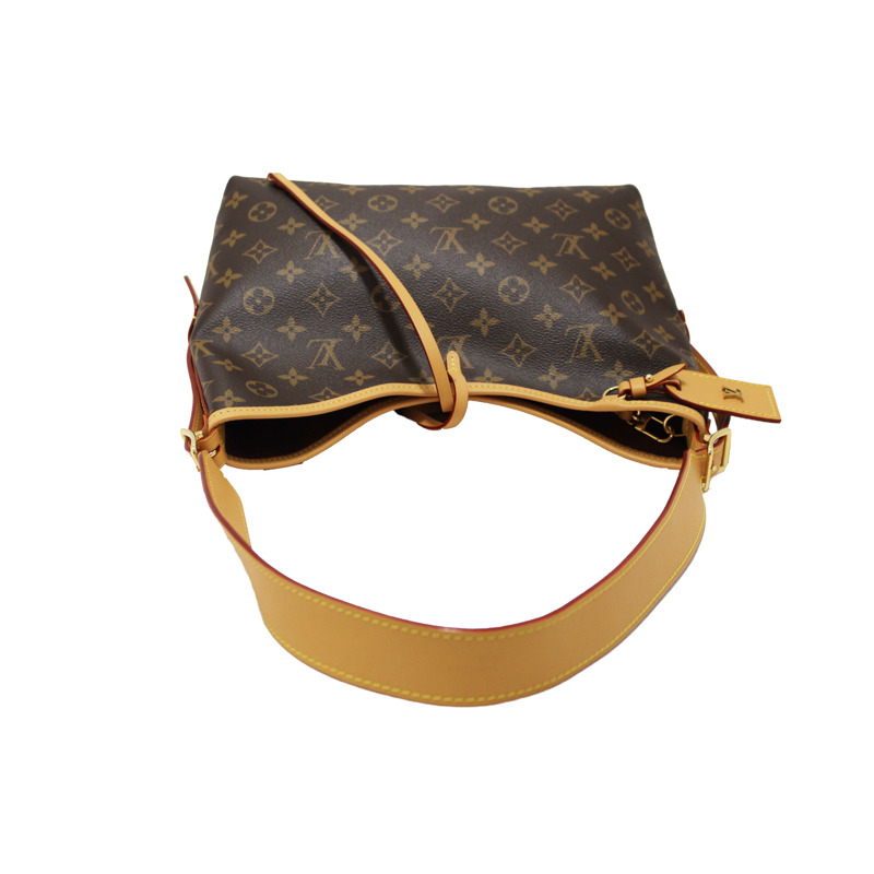 Louis Vuitton Classic Monogram CarryAll PM Hobo Shoulder Tote-7