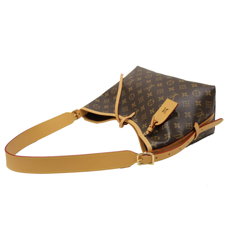Louis Vuitton Classic Monogram CarryAll PM Hobo Shoulder Tote-9