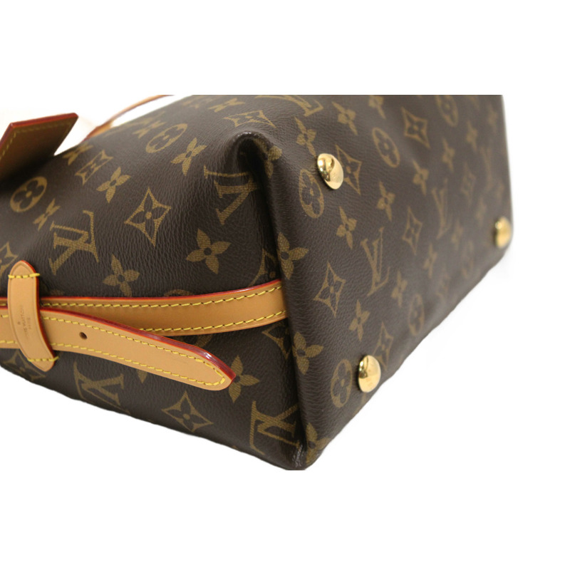 Louis Vuitton Classic Monogram CarryAll PM Hobo Shoulder Tote-12