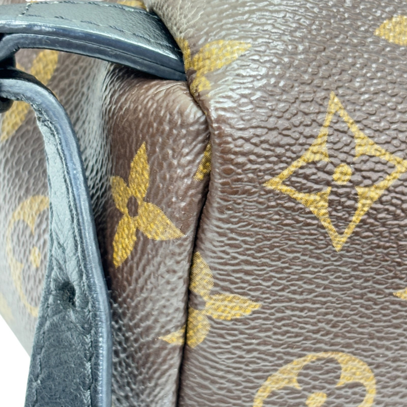 Monogram Palm Springs PM 金扣背包 【LOUIS VUITTON LV 路易威登】 M41560-13