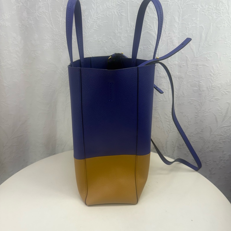 Celine Cabas Handbag-9