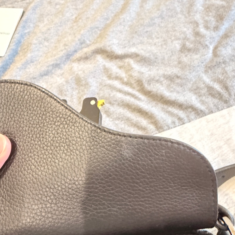 Dior Saddle 迷你翻蓋郵差包-14