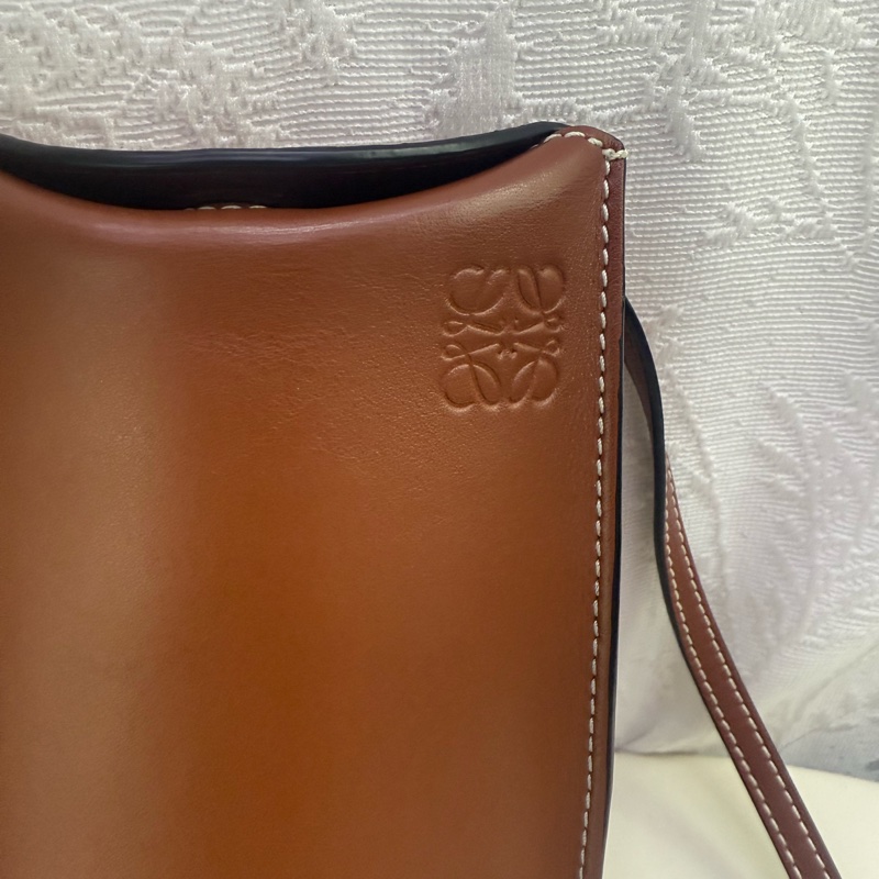 Loewe crossbody Bag-1