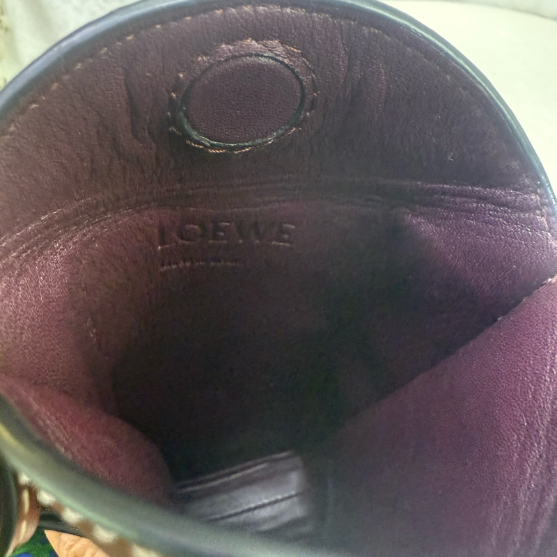 Loewe crossbody Bag-10