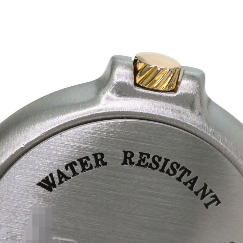 登喜路千禧系列不鏽鋼女士腕錶 SSxGP-23