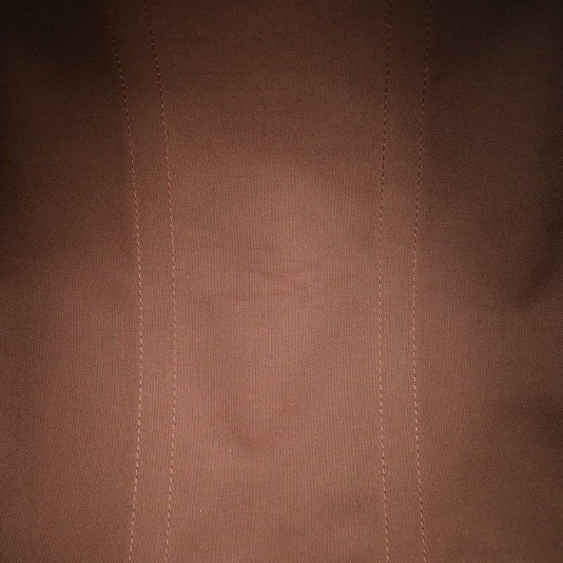 LOUIS VUITTON 老花PVC1994中古speedy50肩背包-2