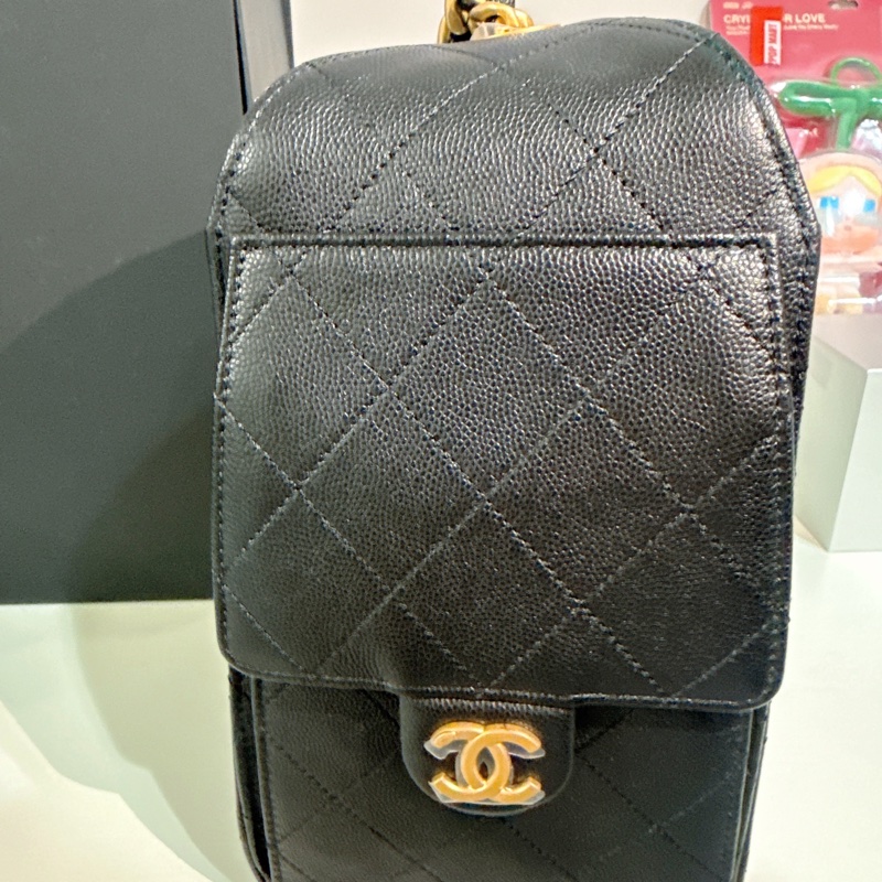 Chanel 25 bag-2