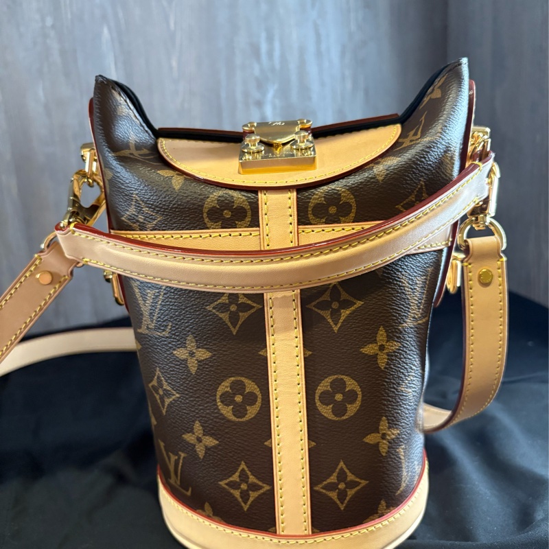 (自售)LV M43587 薯條包-6