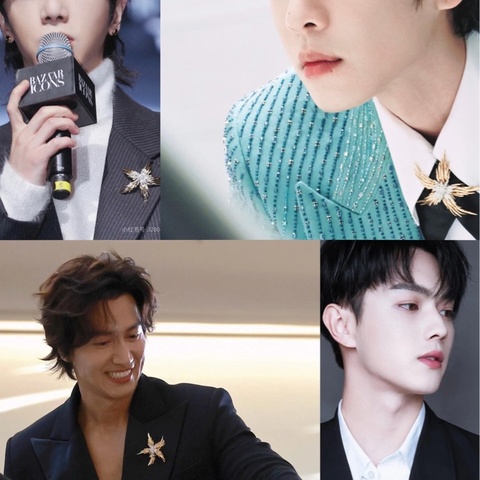 Tiffany蒂芙尼 高級珠寶史隆伯傑系列 黃金滿鑽火焰胸針