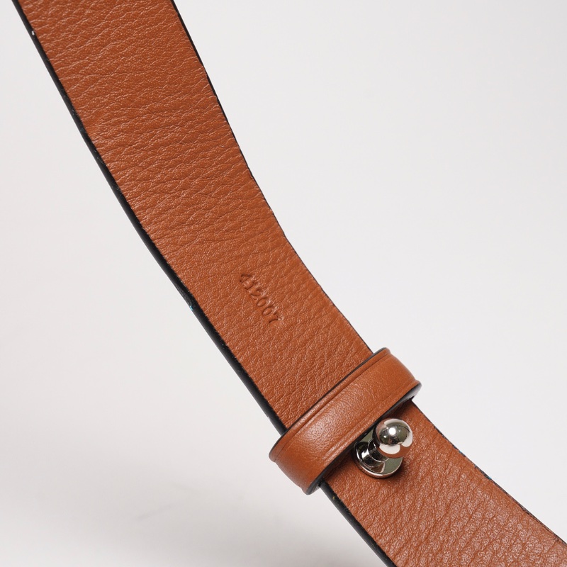 LOEWE包袋配件萬用肩帶（黃藍色）-3