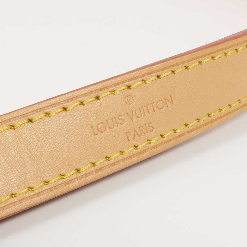 LOUIS VUITTON Monogram Dauphine Soft GM金扣手挽肩背兩用袋棕色-17