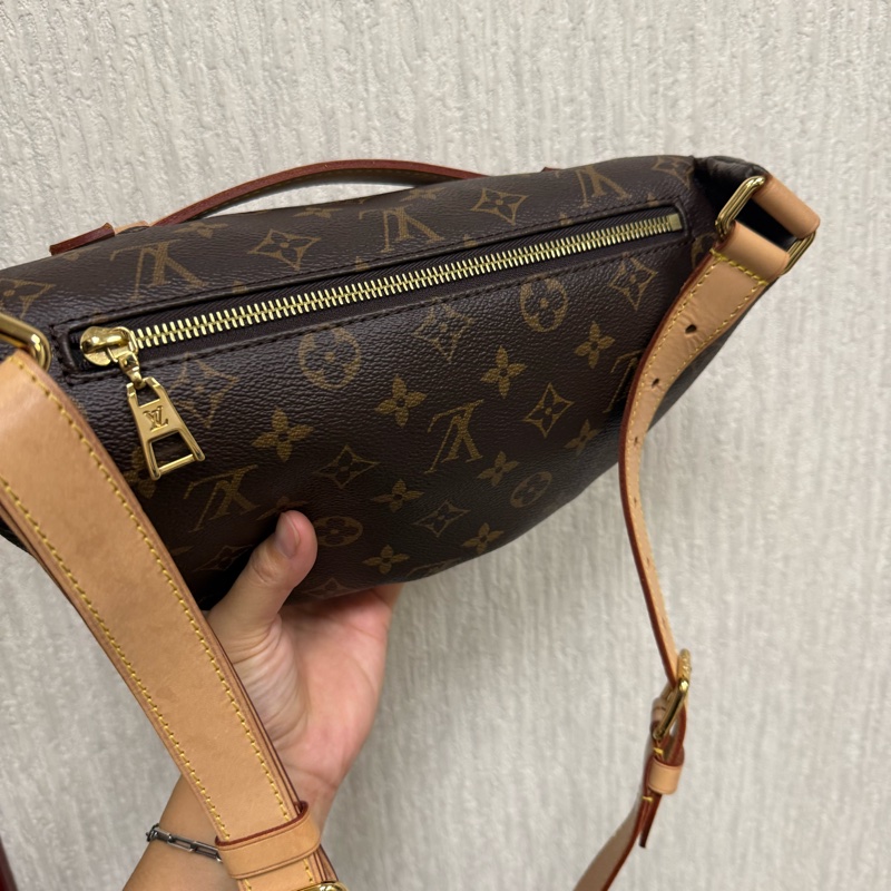 Louis Vuitton Bumbag-6