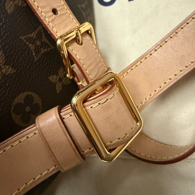 Louis Vuitton Bumbag-9