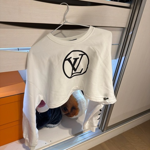 Lv 短版長袖