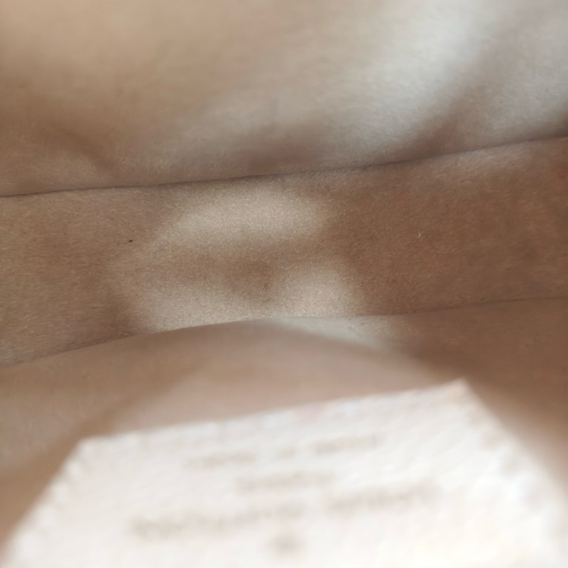 新款芯片款!Louis Vuitton minimoon 月亮包 奶白金扣 荔枝皮-6