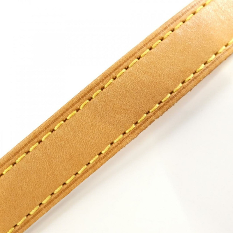 路易威登 Monogram Viva Cite PM M51165 肩背包-3