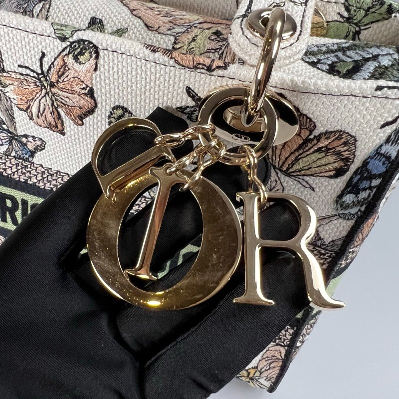 DIOR   帆布Blurred Flowers Corn 黛妃包-10