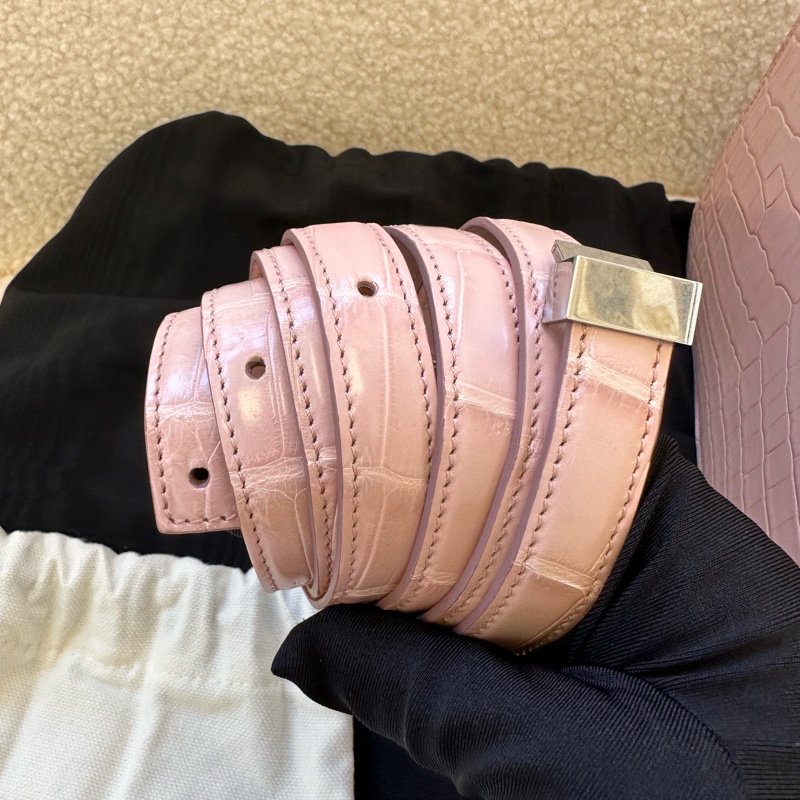 Celine 賽琳 極品鱷魚皮box 中號 櫻花粉 銀扣專櫃在售19萬rmb,普皮價秒,康康平替99新,帶肩帶,附件防塵袋-4