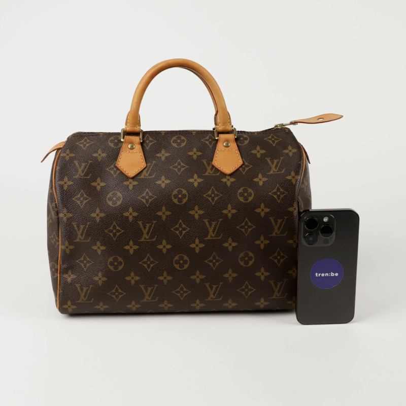 LOUIS VUITTON M41526 Speedy 30 手提袋-10