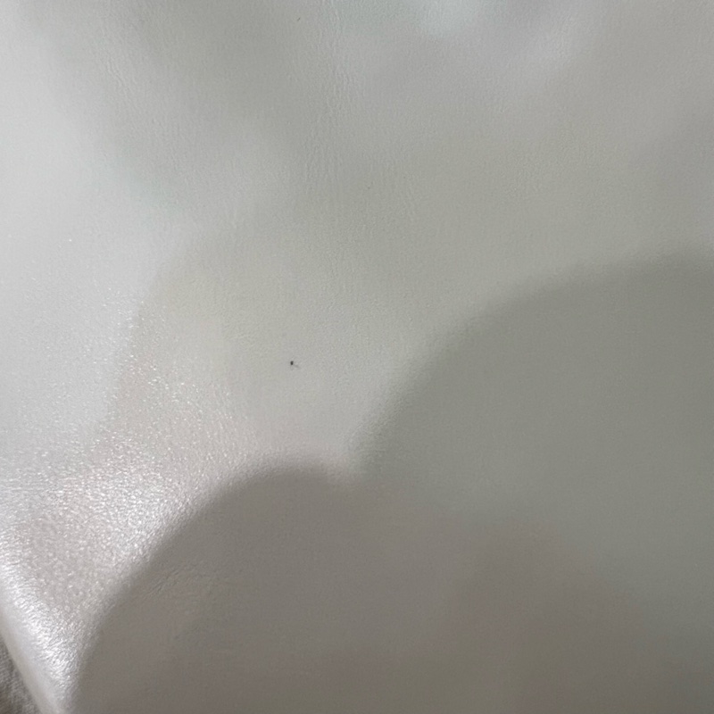 ෆ Chanel 22bag 垃圾袋🤍🈶購證 芯片-24