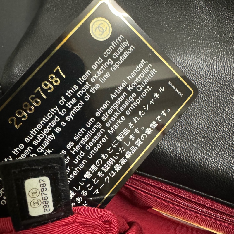 Chanel 19bag 全新-12