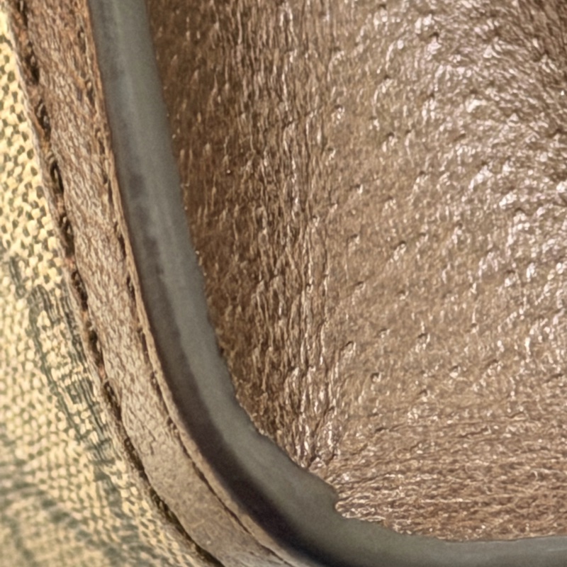 Gucci ophidia 夾子包-5