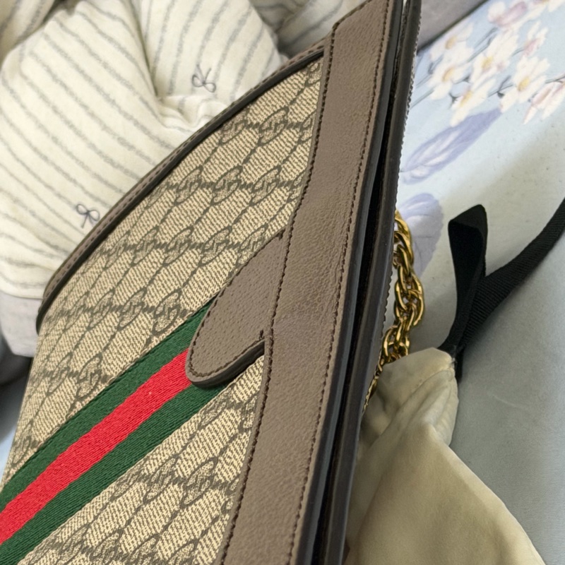 Gucci ophidia 夾子包-8