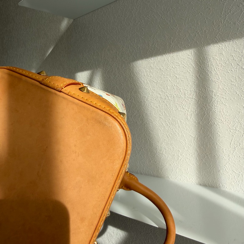 Lv三彩手提Alma村上隆-9