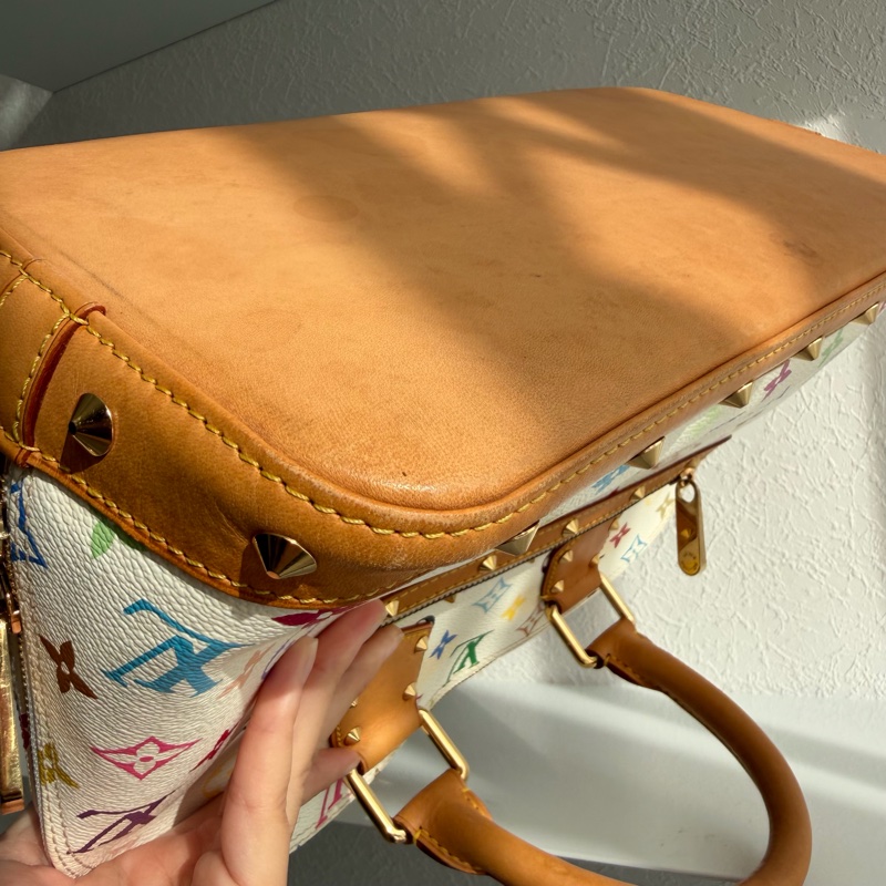 Lv三彩手提Alma村上隆-18