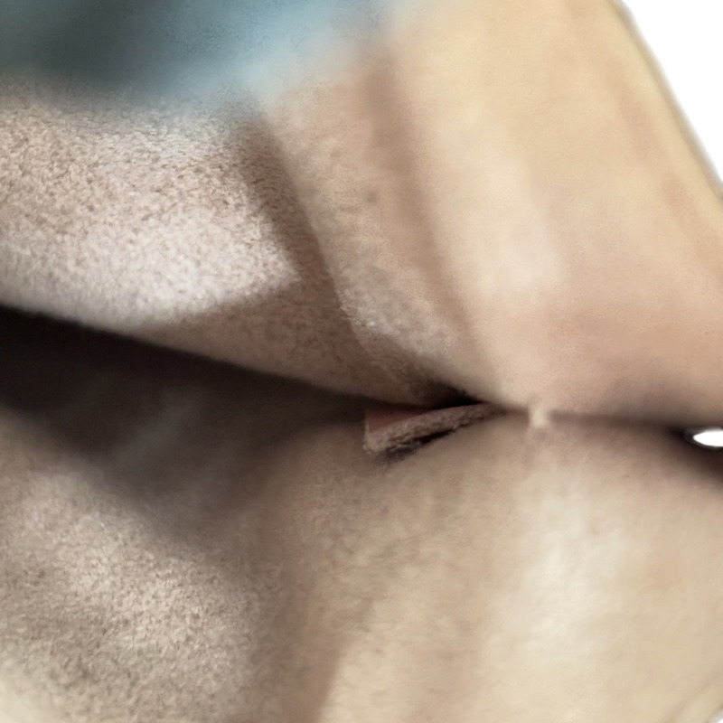 棕色 原花帆布 NeoNoe MM 水桶包 肩背包【LOUIS VUITTON LV 路易威登】 M44022-8