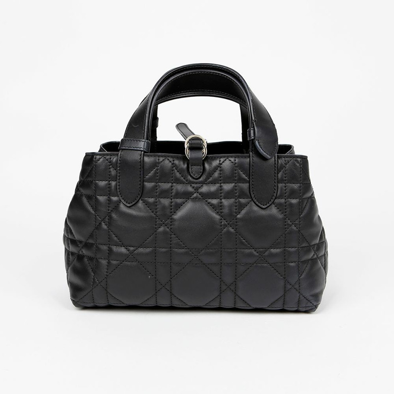 DIOR M2822OSHJ 小號手提袋-3