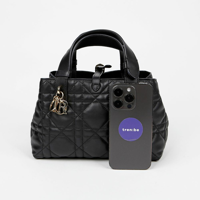 DIOR M2822OSHJ 小號手提袋-8