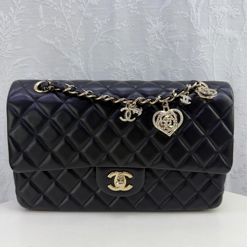 Timeless/classique leather handbag-0