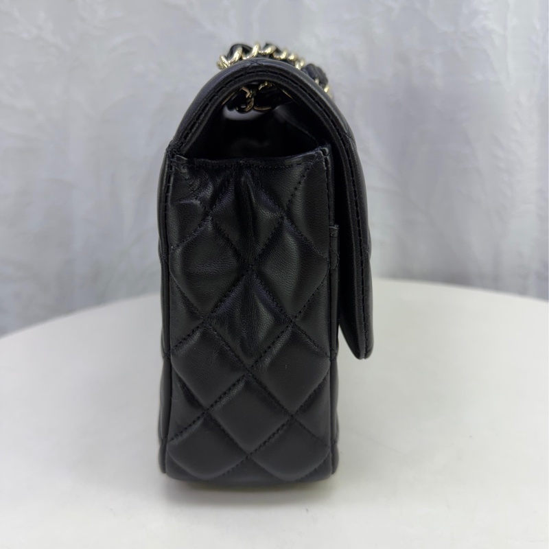 Timeless/classique leather handbag-4