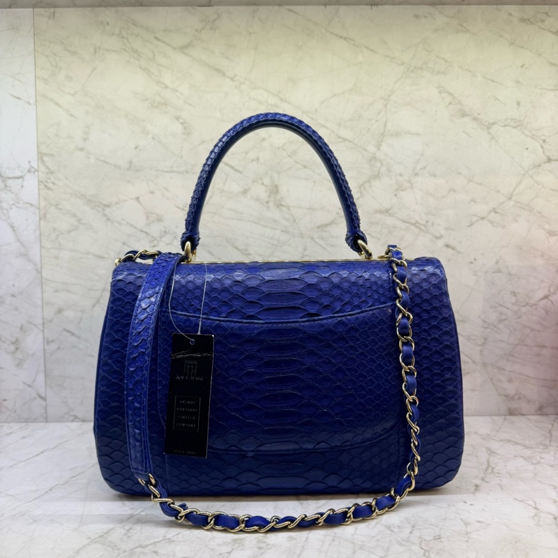 CHANEL藍金蟒蛇皮TRENDY CC/20-1