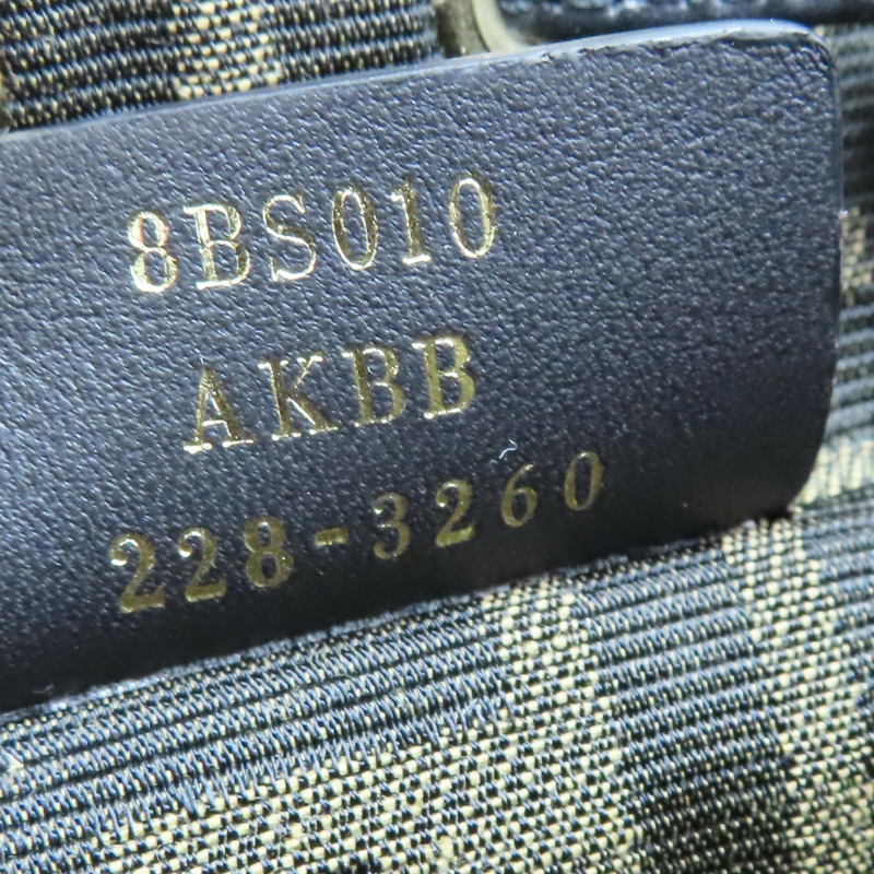 黑色 帆布 Mon Tresor Mini 手提包 (無背帶)【FENDI 芬迪】 8BS010A659-6